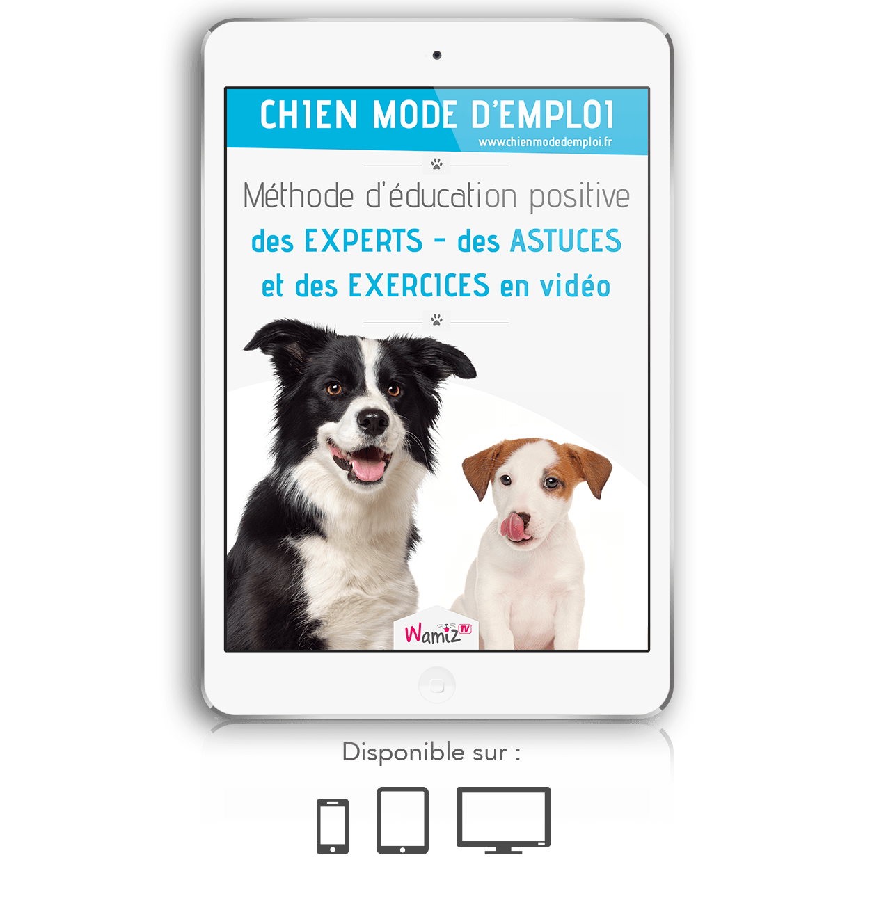 chien mode d emploi